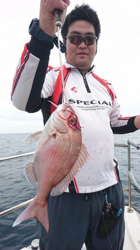 ARCADIAⅡ (アルカディアⅡ) 釣果