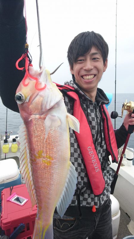 ARCADIAⅡ (アルカディアⅡ) 釣果