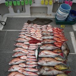 ARCADIAⅡ (アルカディアⅡ) 釣果