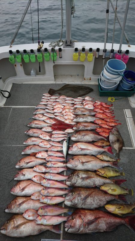 ARCADIAⅡ (アルカディアⅡ) 釣果