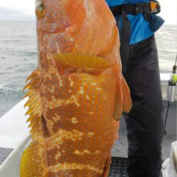 第二龍勢丸 釣果