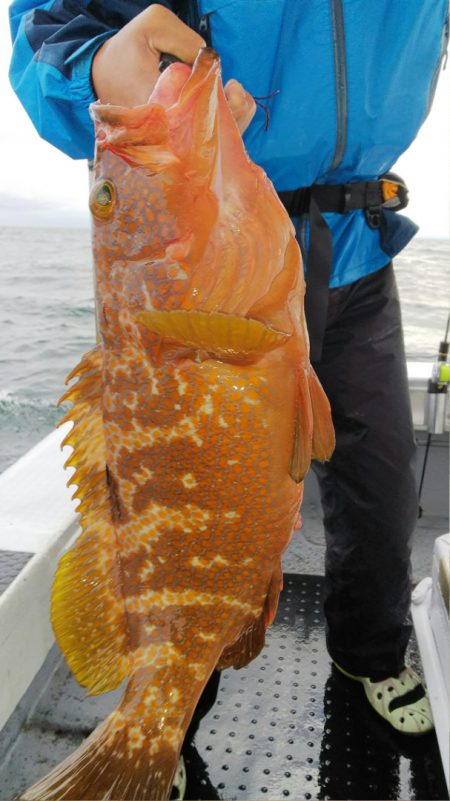 第二龍勢丸 釣果