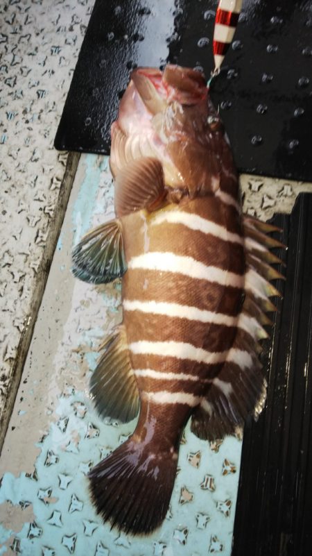 第二龍勢丸 釣果