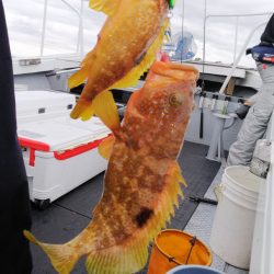 第二龍勢丸 釣果