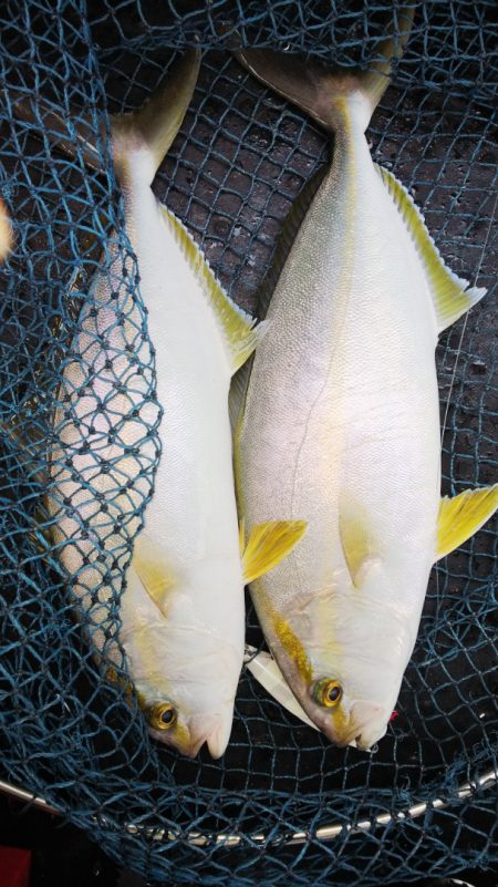 第二龍勢丸 釣果