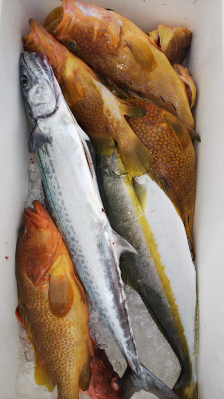 第二龍勢丸 釣果