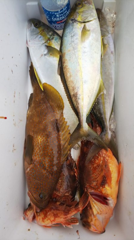 第二龍勢丸 釣果