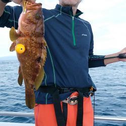 LUSTER『ラスター』 釣果