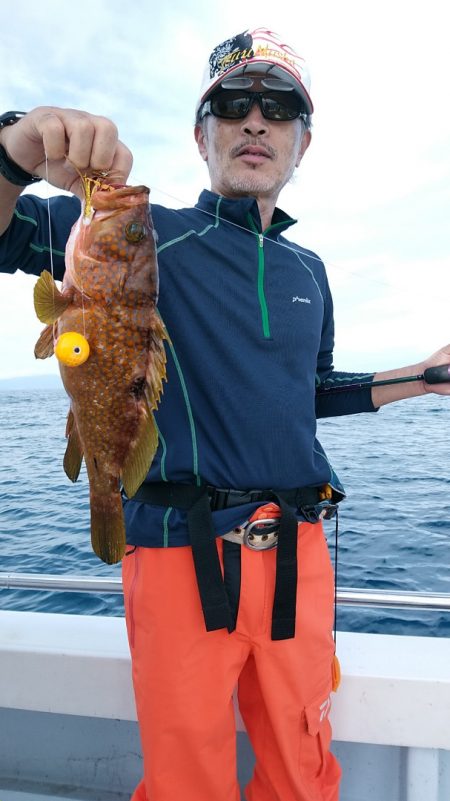 LUSTER『ラスター』 釣果