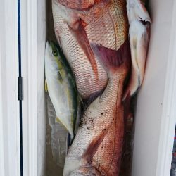 海龍丸（石川） 釣果