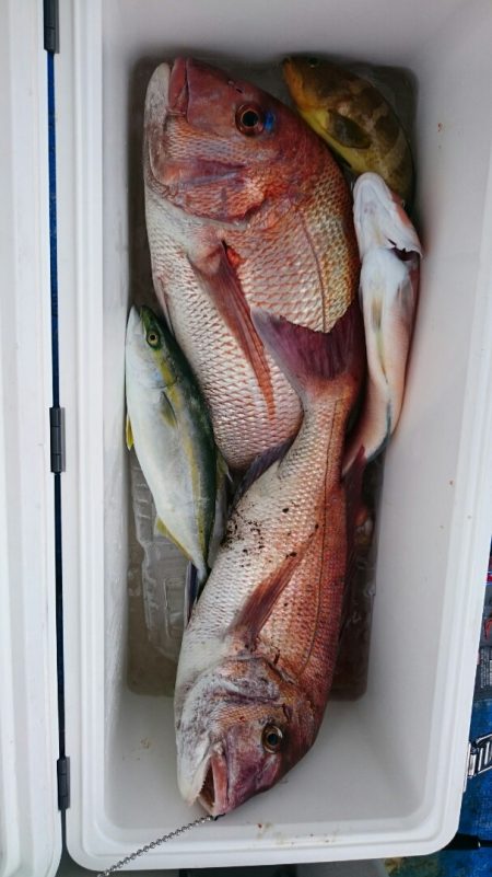 海龍丸（石川） 釣果