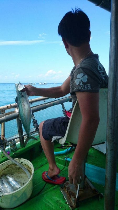 小島丸 釣果