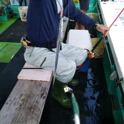 小島丸 釣果