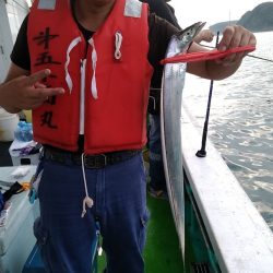 小島丸 釣果