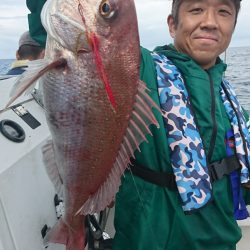 ARCADIAⅡ (アルカディアⅡ) 釣果