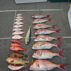 ARCADIAⅡ (アルカディアⅡ) 釣果