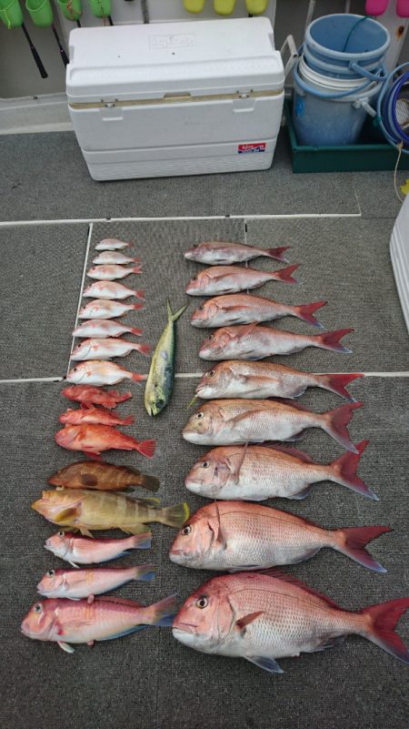 ARCADIAⅡ (アルカディアⅡ) 釣果