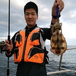 LUSTER『ラスター』 釣果