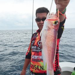 ARCADIAⅡ (アルカディアⅡ) 釣果