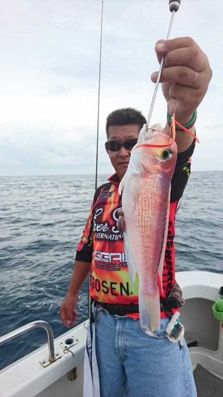 ARCADIAⅡ (アルカディアⅡ) 釣果