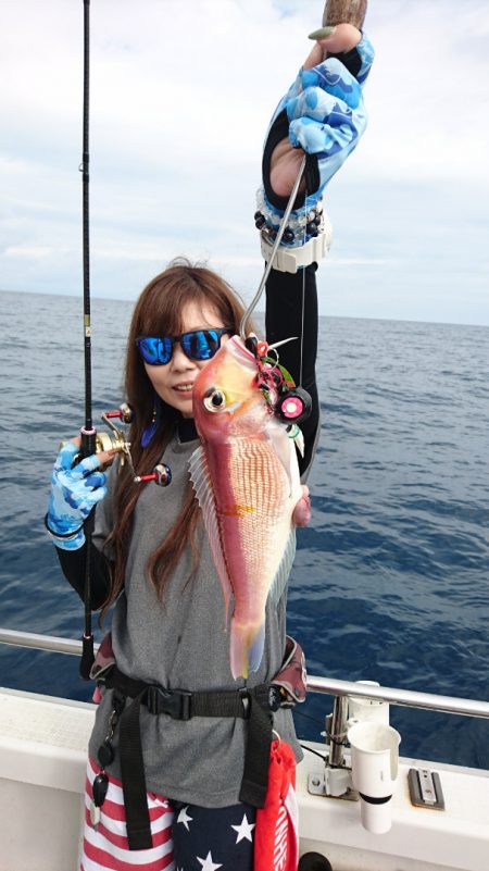 ARCADIAⅡ (アルカディアⅡ) 釣果