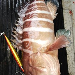 第二龍勢丸 釣果