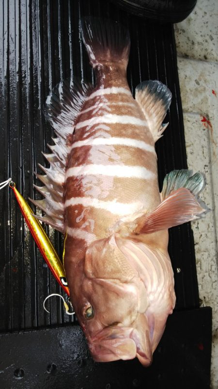 第二龍勢丸 釣果