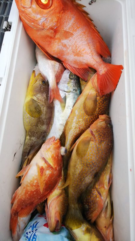 第二龍勢丸 釣果