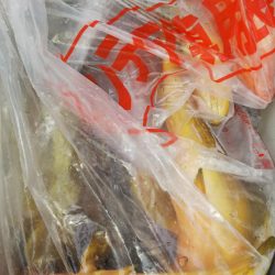 第二龍勢丸 釣果