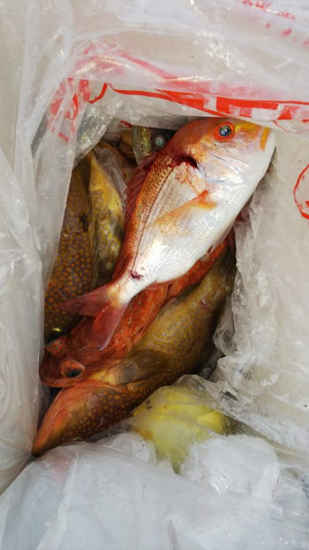 第二龍勢丸 釣果