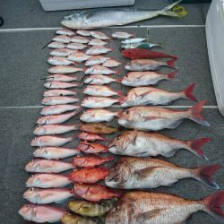 ARCADIAⅡ (アルカディアⅡ) 釣果