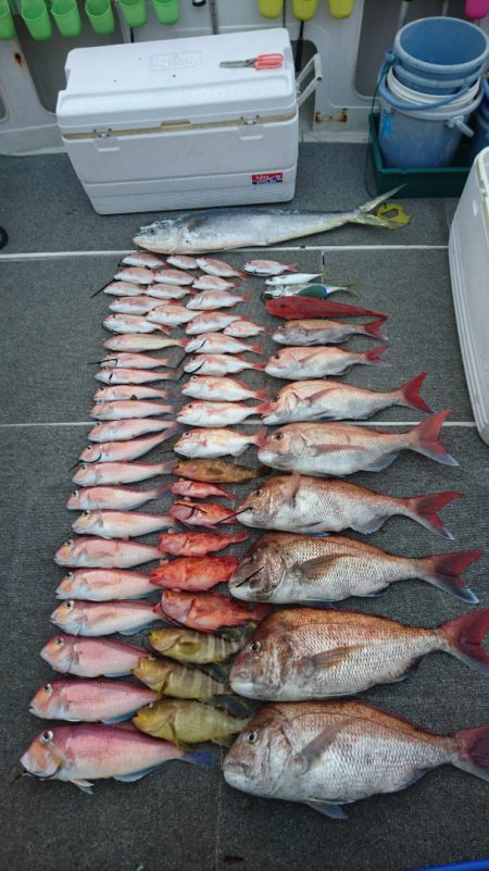 ARCADIAⅡ (アルカディアⅡ) 釣果