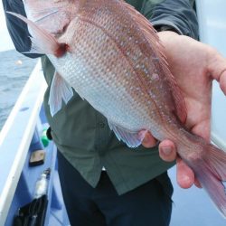 新幸丸 釣果