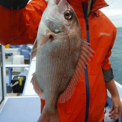 新幸丸 釣果