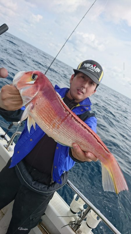 ARCADIAⅡ （アルカディアⅡ） 釣果…