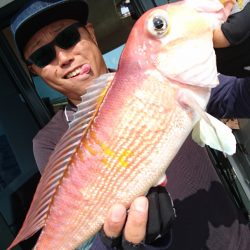 ARCADIAⅡ (アルカディアⅡ) 釣果