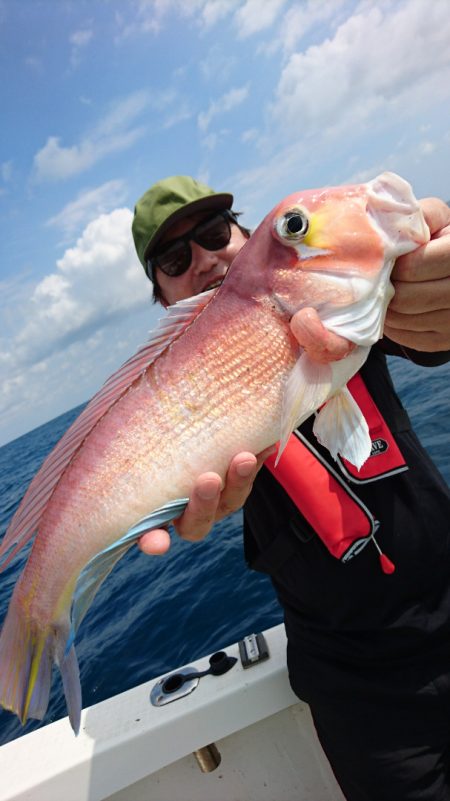 ARCADIAⅡ (アルカディアⅡ) 釣果