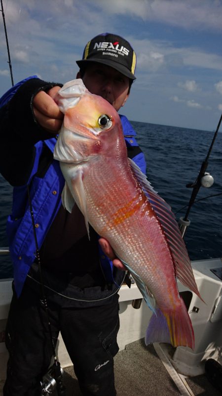 ARCADIAⅡ (アルカディアⅡ) 釣果