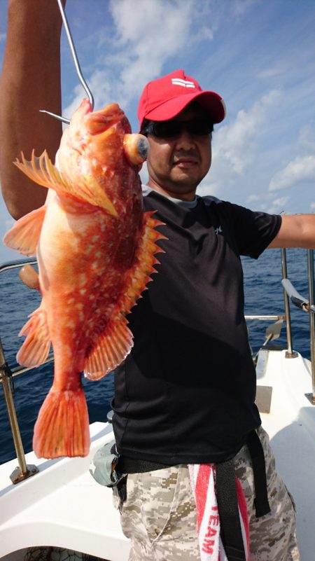 ARCADIAⅡ (アルカディアⅡ) 釣果