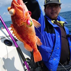 ARCADIAⅡ (アルカディアⅡ) 釣果