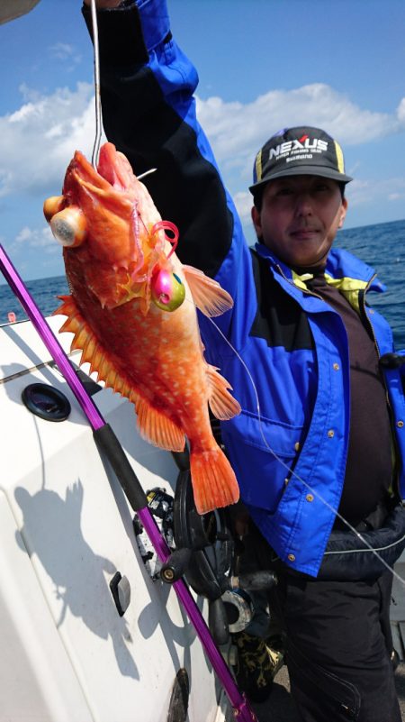 ARCADIAⅡ (アルカディアⅡ) 釣果