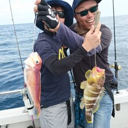 ARCADIAⅡ (アルカディアⅡ) 釣果