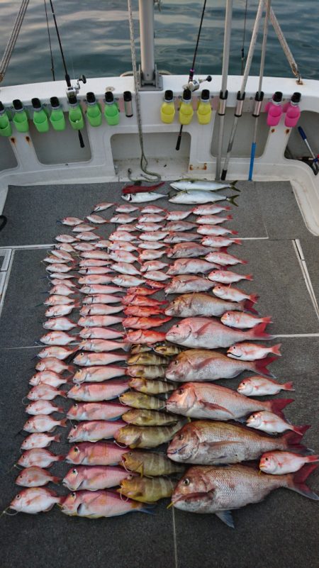 ARCADIAⅡ (アルカディアⅡ) 釣果