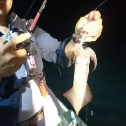 海龍丸（石川） 釣果