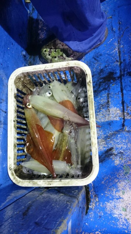 海龍丸（石川） 釣果