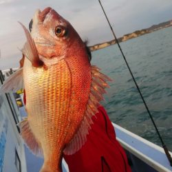 新幸丸 釣果