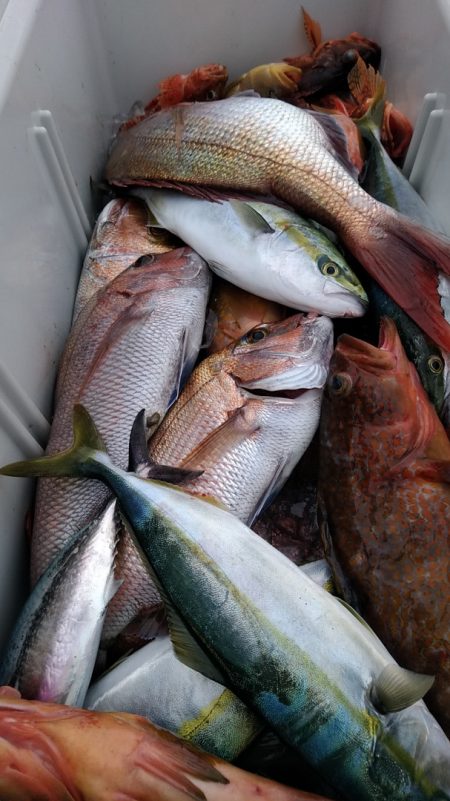 LUSTER『ラスター』 釣果