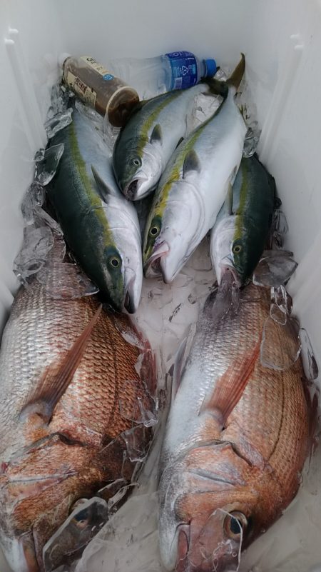 LUSTER『ラスター』 釣果