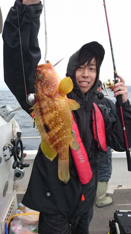 ARCADIAⅡ (アルカディアⅡ) 釣果