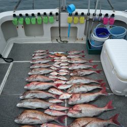 ARCADIAⅡ (アルカディアⅡ) 釣果